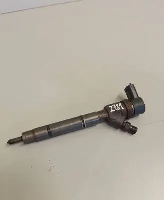 Hyundai i30 Fuel injector 0445110256 338002A400