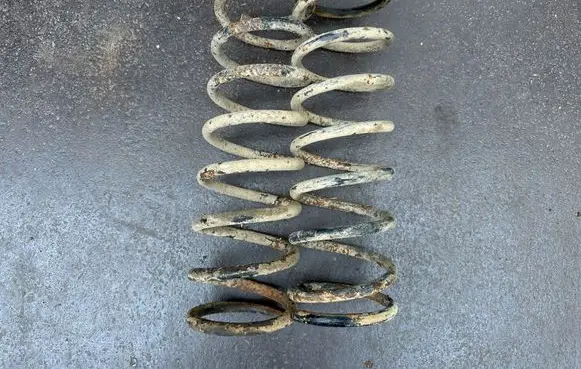 Hyundai Terracan Rear coil spring 550200F602