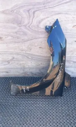 Ford Focus Fender