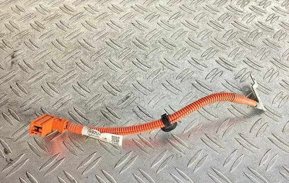 Lexus NX Other wiring loom G92U148040