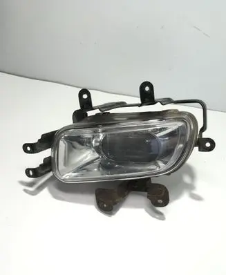 Hyundai Terracan Front fog light 1010404