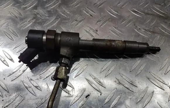Fiat Punto (188) Fuel injector 0445110019