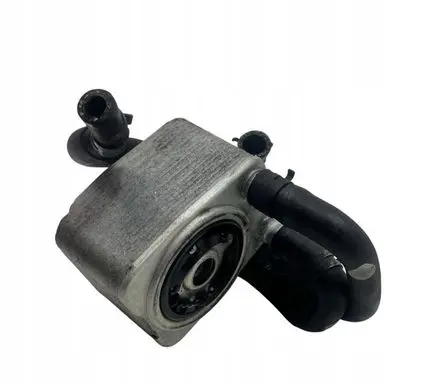 Volkswagen Touareg I Engine oil radiator 038117021E |000000000000