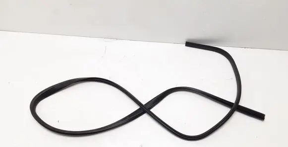 Ford Kuga I Front door rubber seal 