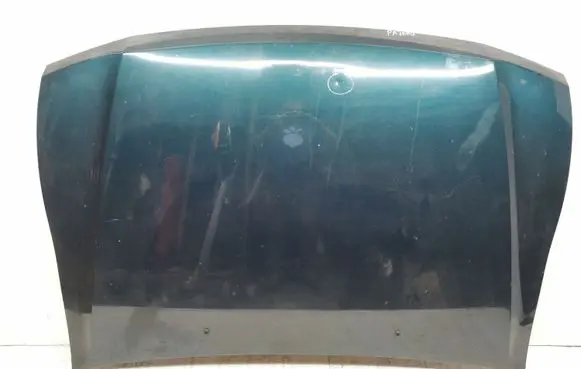 Mitsubishi Pajero Engine bonnet/hood 