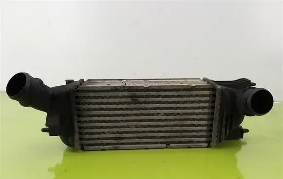 Citroen C5 Intercooler radiator IA1095