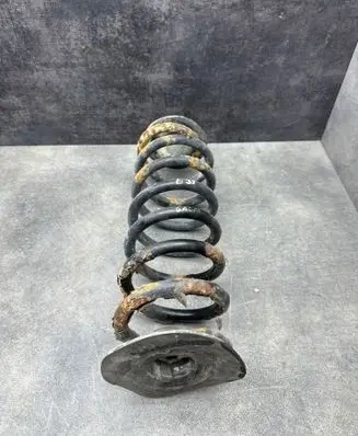 Rear coil spring
