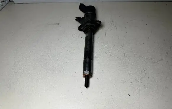Ford Focus C-MAX Fuel injector 0445110239 606680
