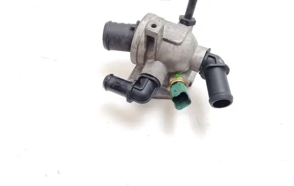 Thermostat/thermostat housing