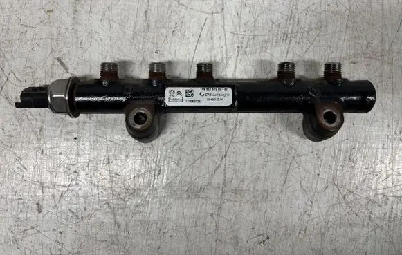 Peugeot 3008 I Fuel main line pipe 9685297580