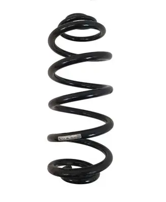 Rear coil spring