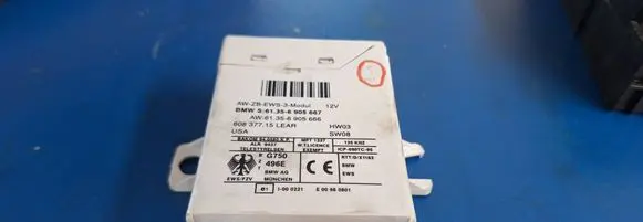 BMW 5 E39 Immobilizer control unit/module 61356905667