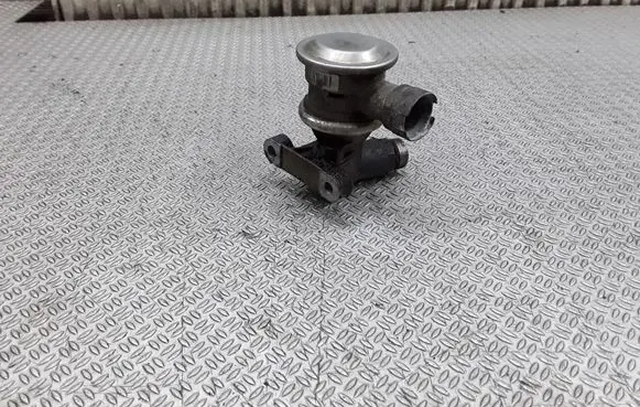 Seat Alhambra (Mk1) EGR valve 06A131351