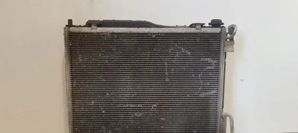 Ford Fiesta Radiator set 