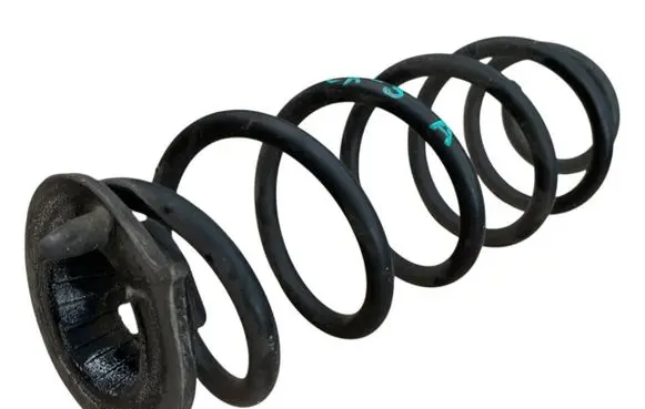 Rear coil spring