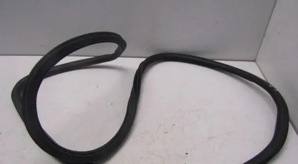 Fiat 500X Front door rubber seal 