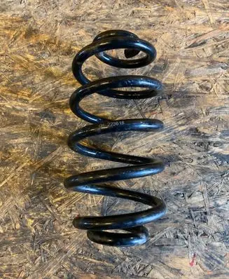 Rear coil spring