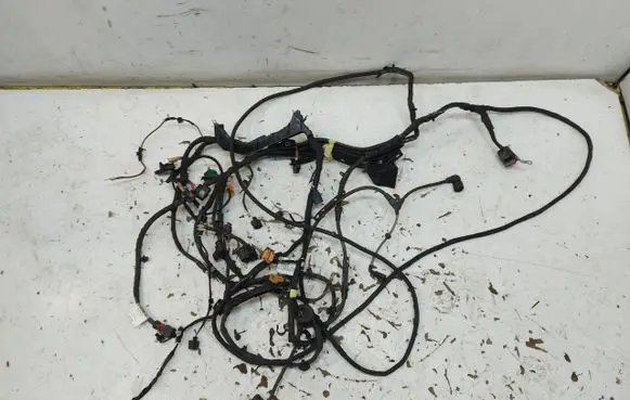 Volkswagen ID.4 Other wiring loom 1EA971230G-JLK01