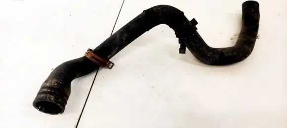 Ford Focus Engine coolant pipe/hose