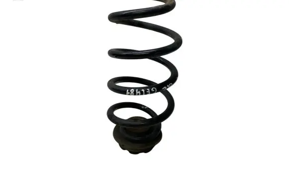 Nissan Juke I F15 Rear coil spring