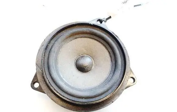 BMW 5 F10 F11 Front door speaker 916969203 16014910