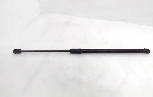 Tailgate/trunk strut/damper