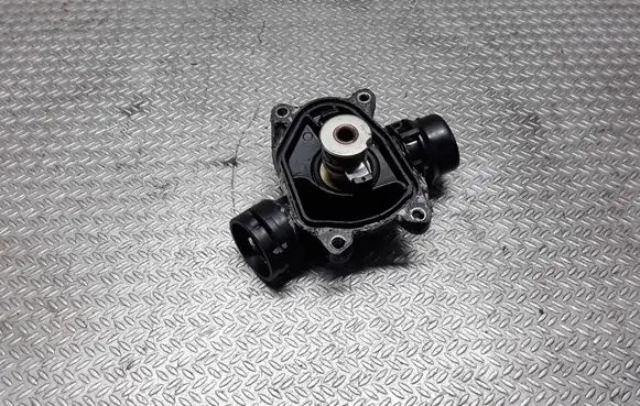 Thermostat/thermostat housing