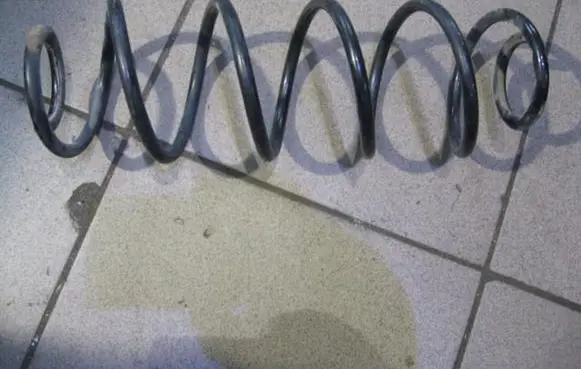Citroen C3 Rear coil spring