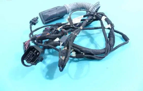 Front door wiring loom