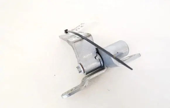 Ford S-MAX Rear door lower hinge