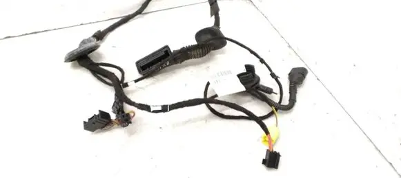 Front door wiring loom