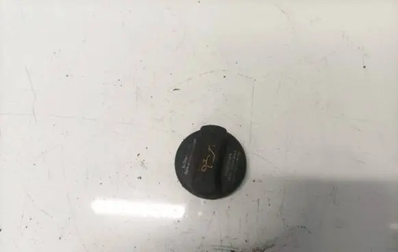 Volkswagen PASSAT B6 Oil filler cap 026103485k