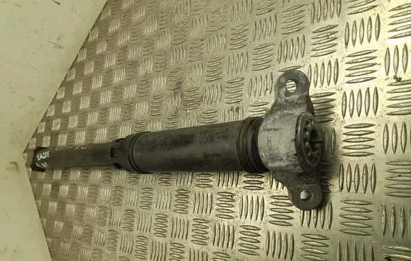 Rear shock absorber/damper
