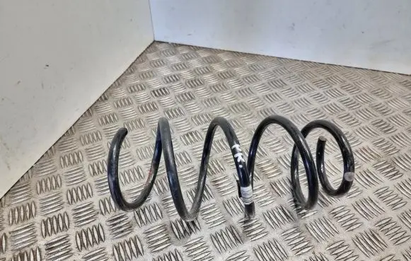 Front coil spring