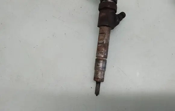 Renault Trafic II (X83) Fuel injector 0445110021