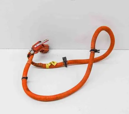 Tesla Model S Other wiring loom 600738300C