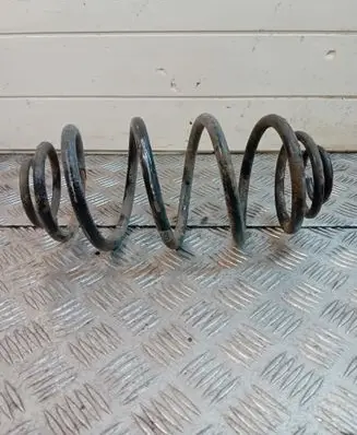Rear coil spring