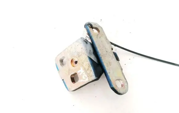 Rear door lower hinge