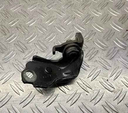 Ford Fusion II Rear door lower hinge