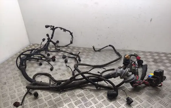Engine installation wiring loom