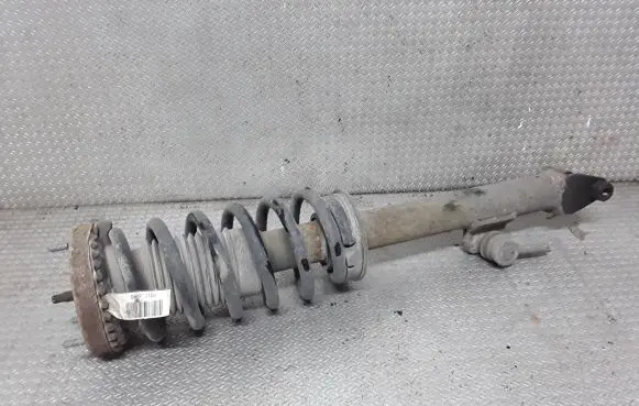 Chrysler 300 - 300C Front shock absorber with coil spring