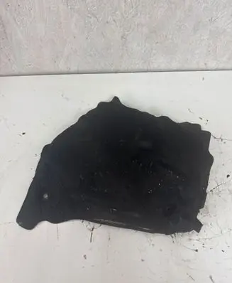 BMW 1 F20 F21 Heat shield in engine bay 8513138 54793011