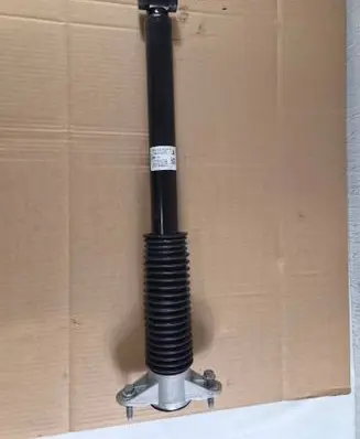 Tesla Model Y Juniper Rear shock absorber/damper 218846820B