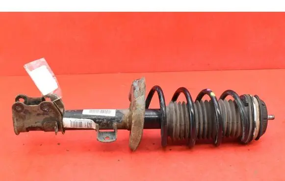 Fiat Punto (199) Front shock absorber/damper 51833503