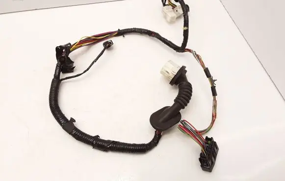 Front door wiring loom