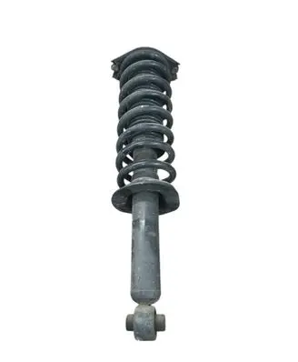 Subaru Outback (BT) Rear shock absorber with coil spring 