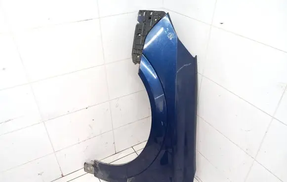 Opel Signum Fender