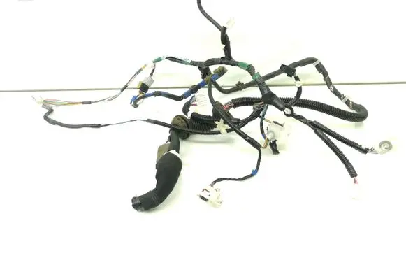 Front door wiring loom