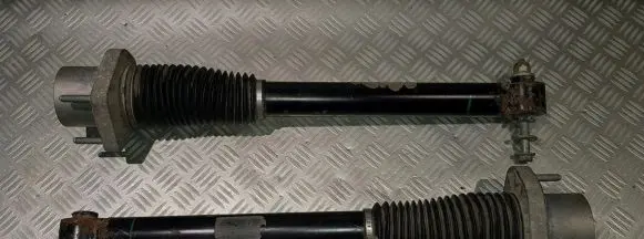 Land Rover Range Rover Sport L494 Rear shock absorber/damper DPLA-18W002-BF