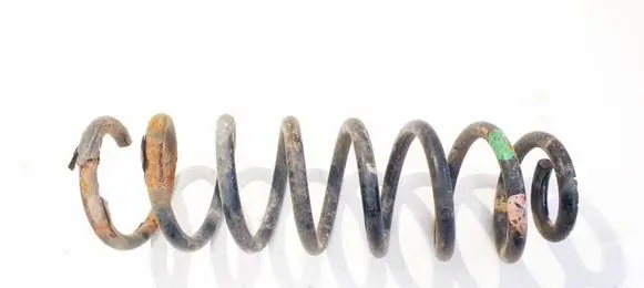Rear coil spring